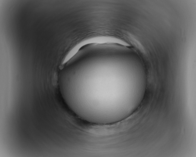 X0000091900025200709261706