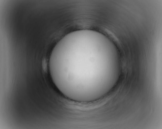 X0000091900026200709261706