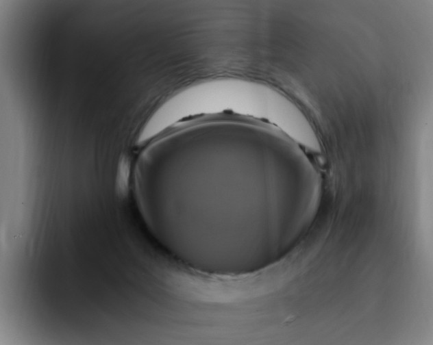 X0000091900027200709261706