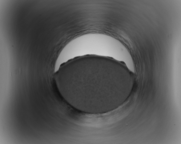 X0000091900029200709261706