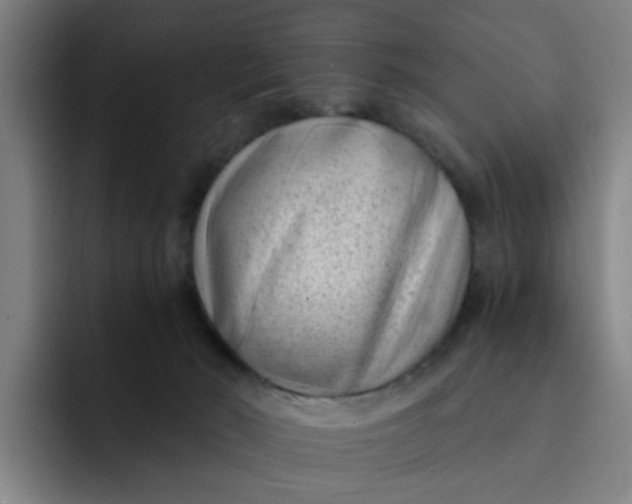 X0000091900030200709261706