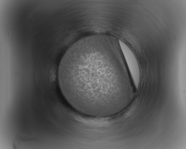 X0000091900032200709261706