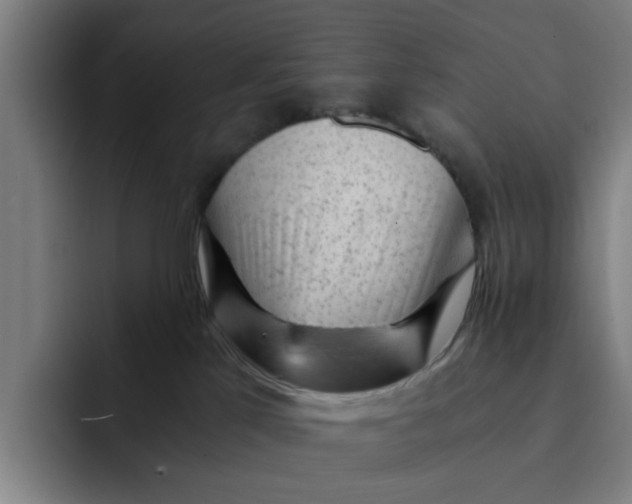 X0000091900041200709261705