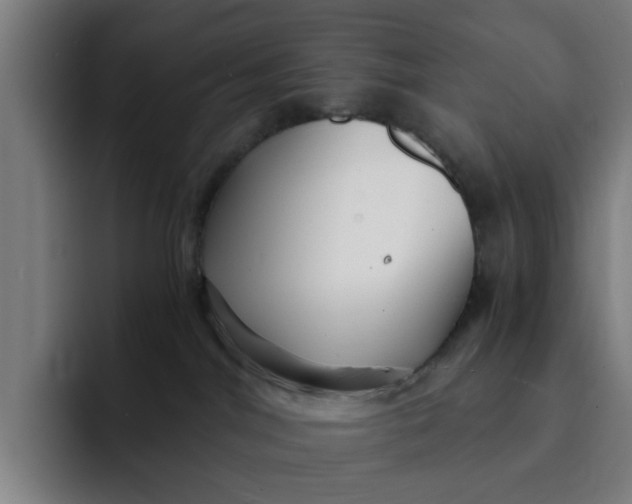 X0000091900044200709261705