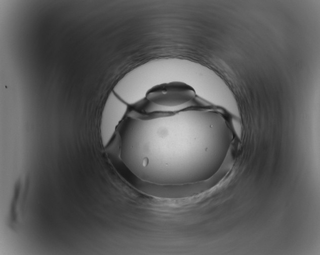 X0000091900045200709261705