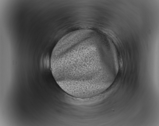 X0000091900046200709261705