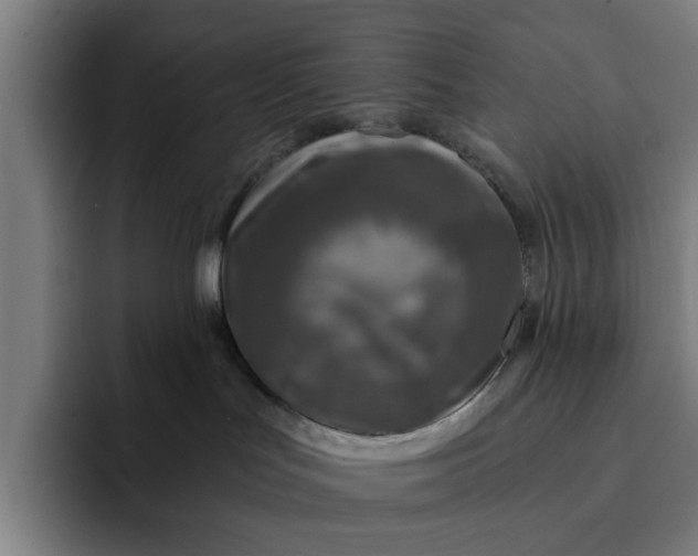 X0000091900047200709261705