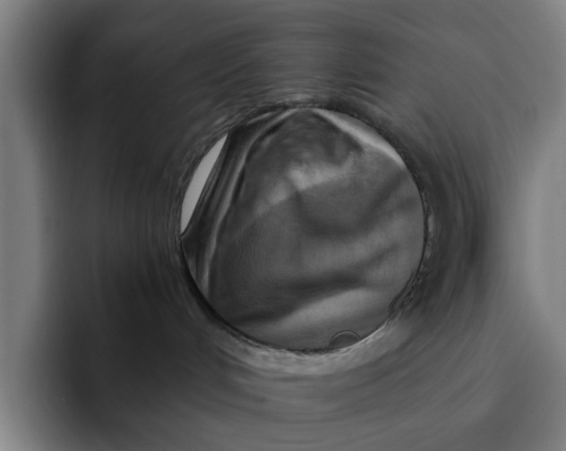 X0000091900048200709261705