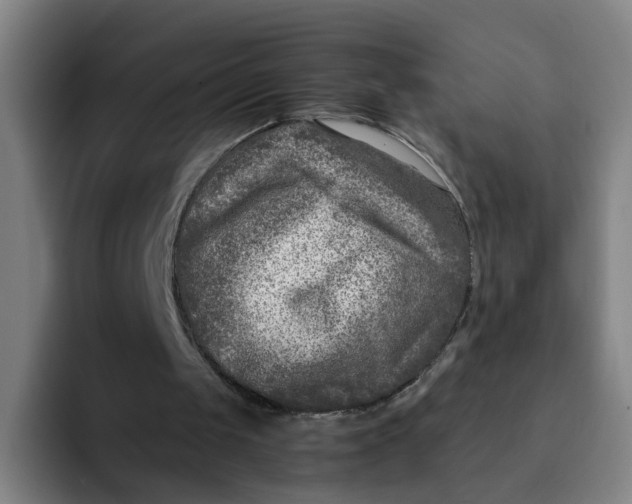 X0000091900049200709261705