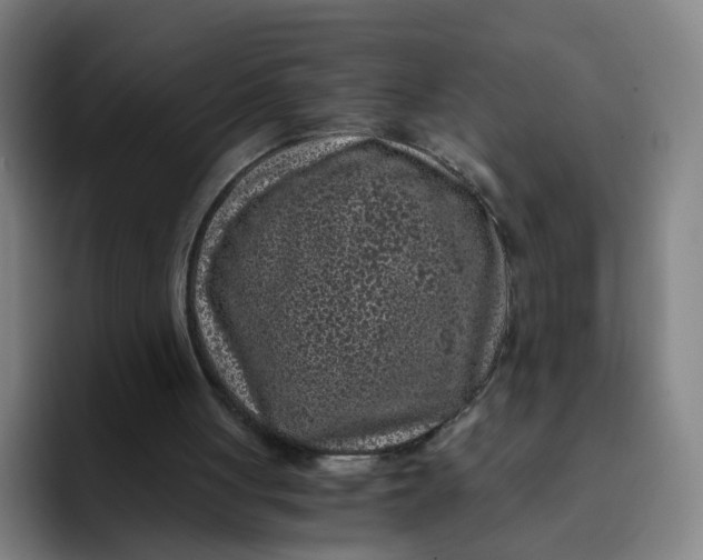 X0000091900051200709261705