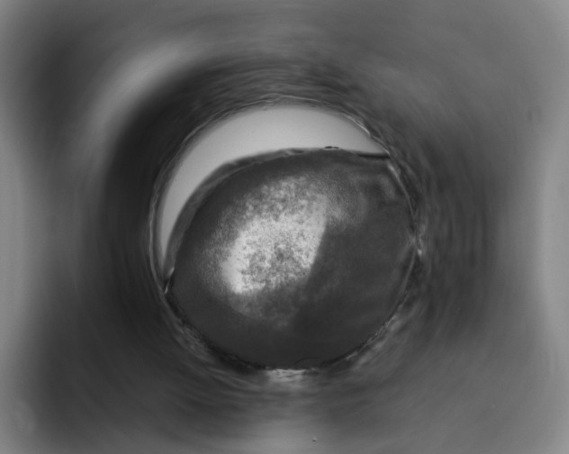 X0000091900052200709261705