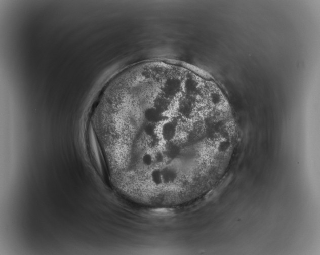 X0000091900053200709261705