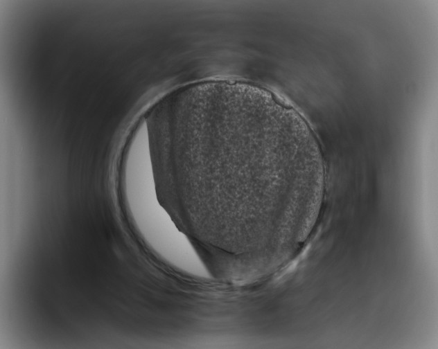 X0000091900055200709261705