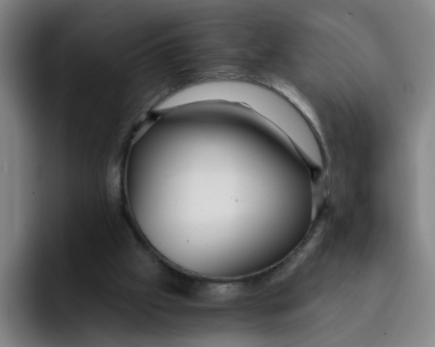 X0000091900057200709261705