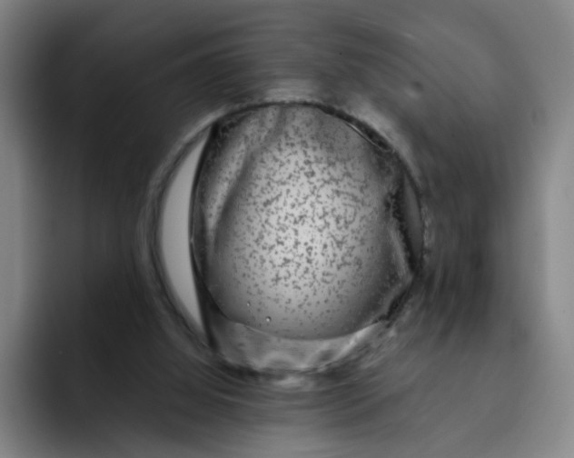 X0000091900060200709261705