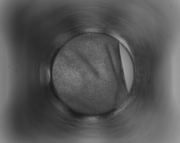 X0000091900061200709261705