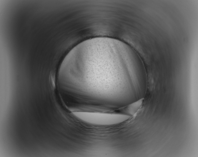 X0000091900062200709261705