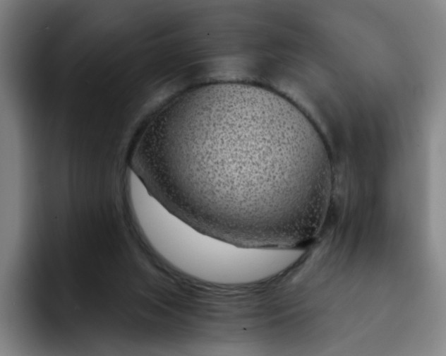 X0000091900063200709261705