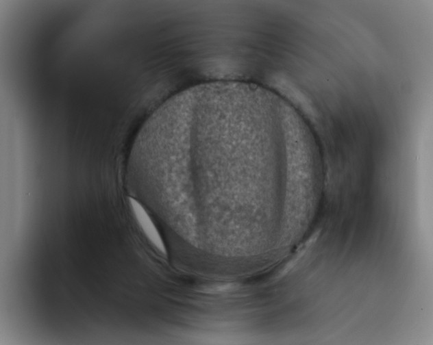 X0000091900065200709261705