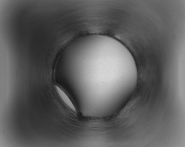 X0000091900066200709261705