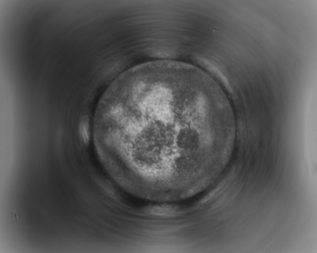 X0000091900069200709261705