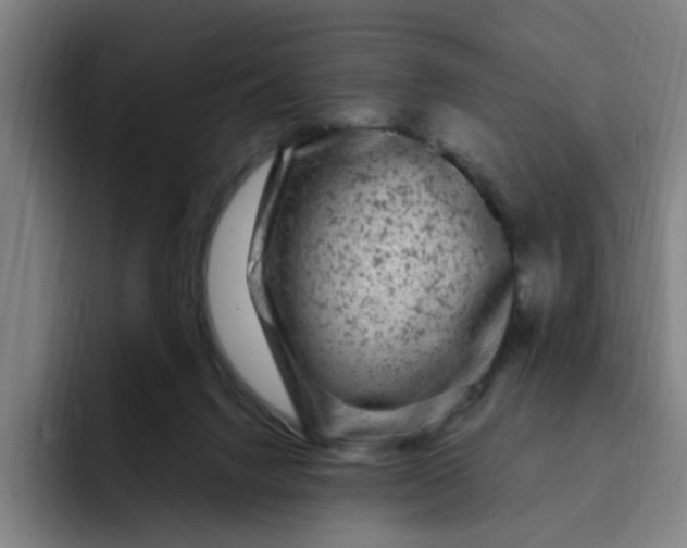 X0000091900072200709261705