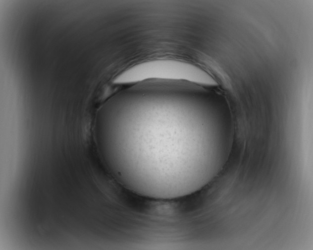 X0000091900073200709261705