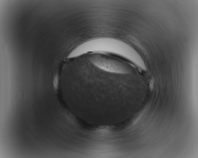 X0000091900076200709261705