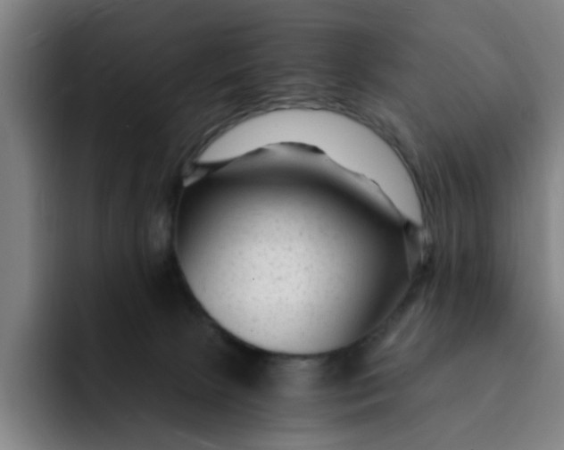 X0000091900081200709261705