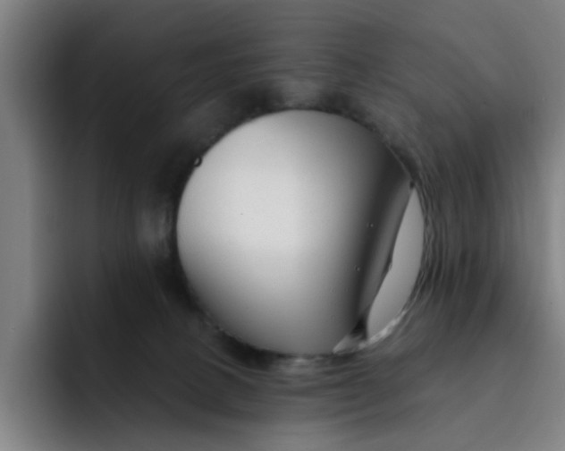 X0000091900082200709261705