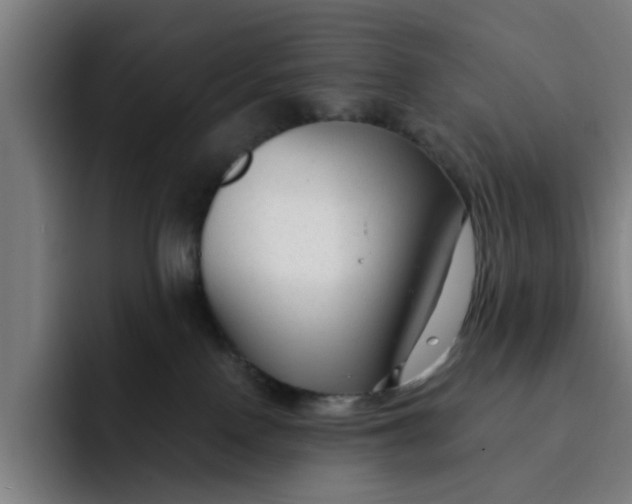 X0000091900090200709261705