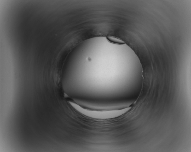 X0000091900091200709261705