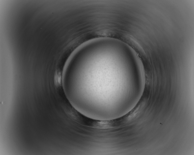 X0000091900095200709261705