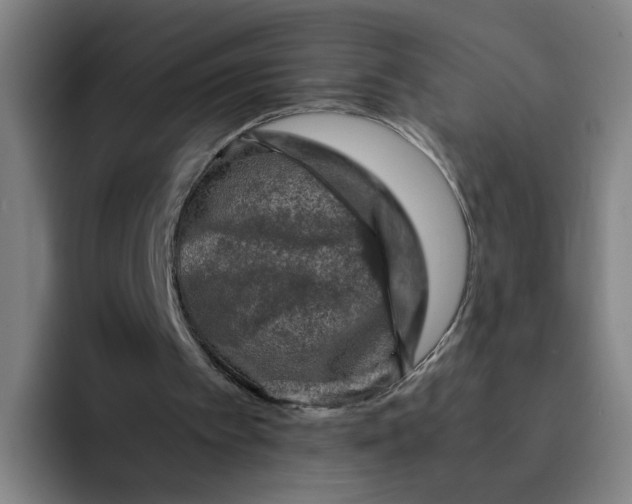 X0000091900097200709261705