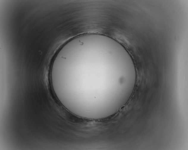 X0000091900098200709261705