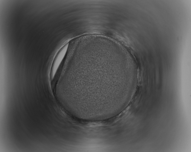 X0000091900099200709261705