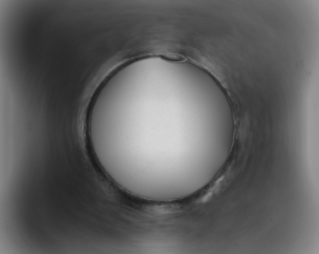 X0000091900103200709261705