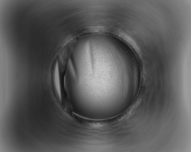 X0000091900105200709261705