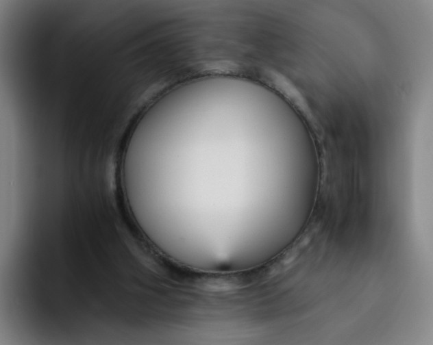 X0000091900106200709261705