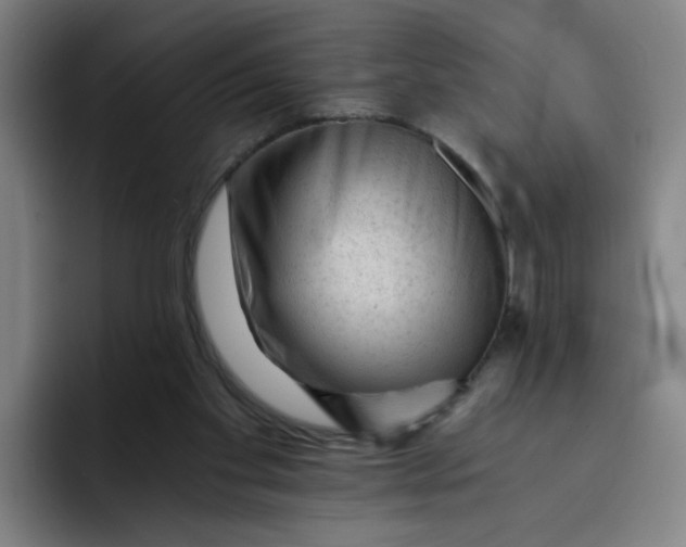 X0000091900109200709261705