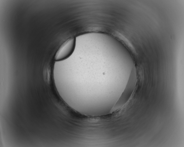 X0000091900110200709261705