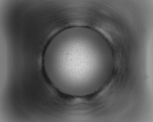 X0000091900111200709261705