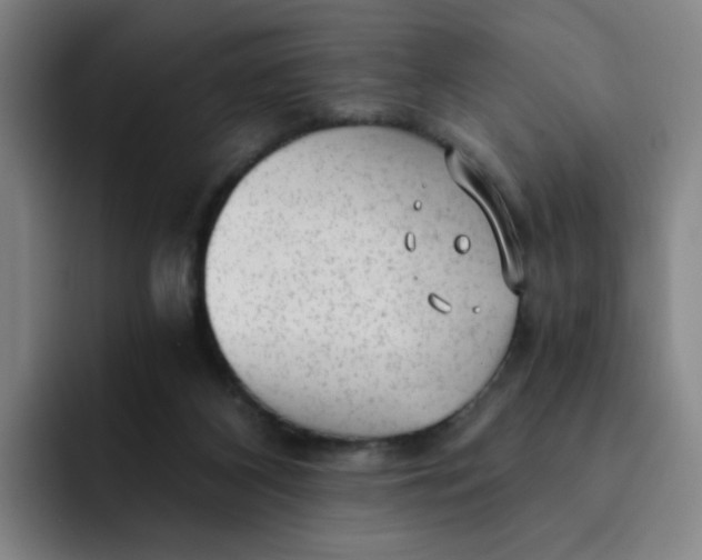 X0000091900116200709261705