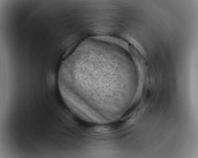 X0000091900117200709261705