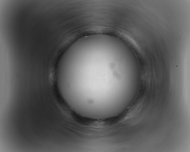 X0000091900119200709261705