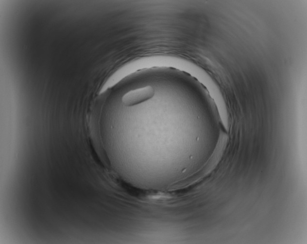 X0000091900125200709261704