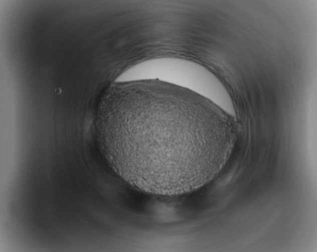 X0000091900127200709261704