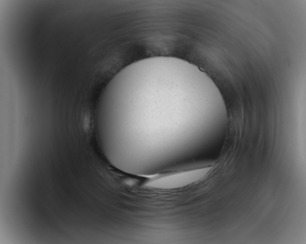 X0000091900134200709261704