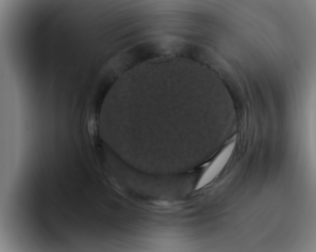 X0000091900137200709261704