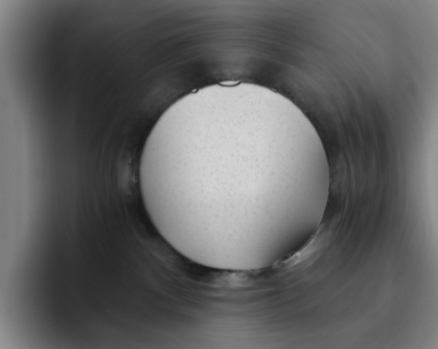 X0000091900140200709261704